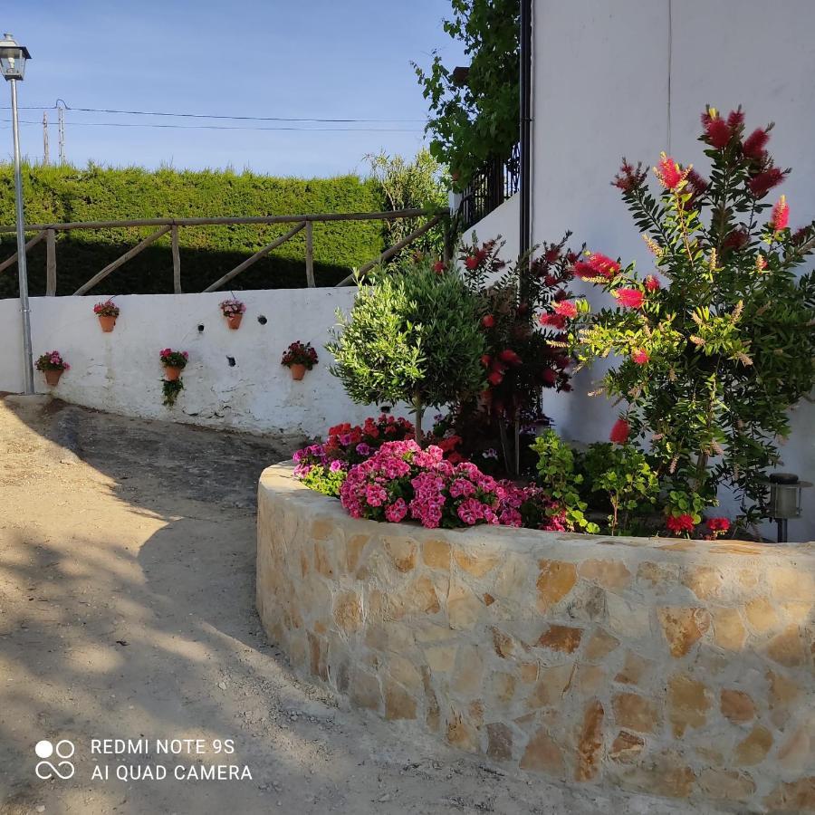 Pensjonat La Casa De La Abuela Setenil De Las Bodegas Zewnętrze zdjęcie