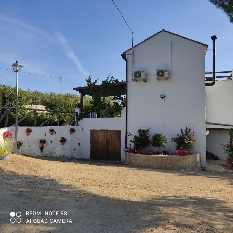 Pensjonat La Casa De La Abuela Setenil De Las Bodegas Zewnętrze zdjęcie