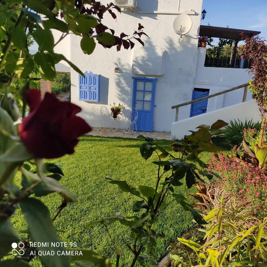 Pensjonat La Casa De La Abuela Setenil De Las Bodegas Zewnętrze zdjęcie