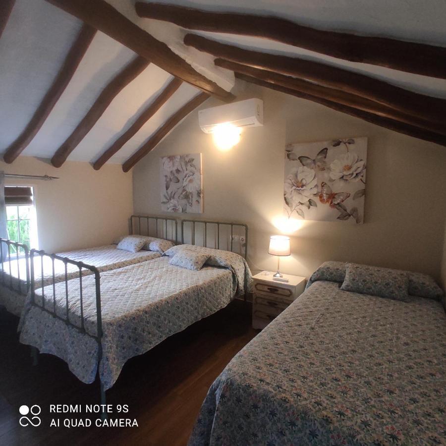 Pensjonat La Casa De La Abuela Setenil De Las Bodegas Zewnętrze zdjęcie